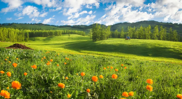 2021年，新疆非去不可，新疆怎麼玩，看完這一篇就夠了