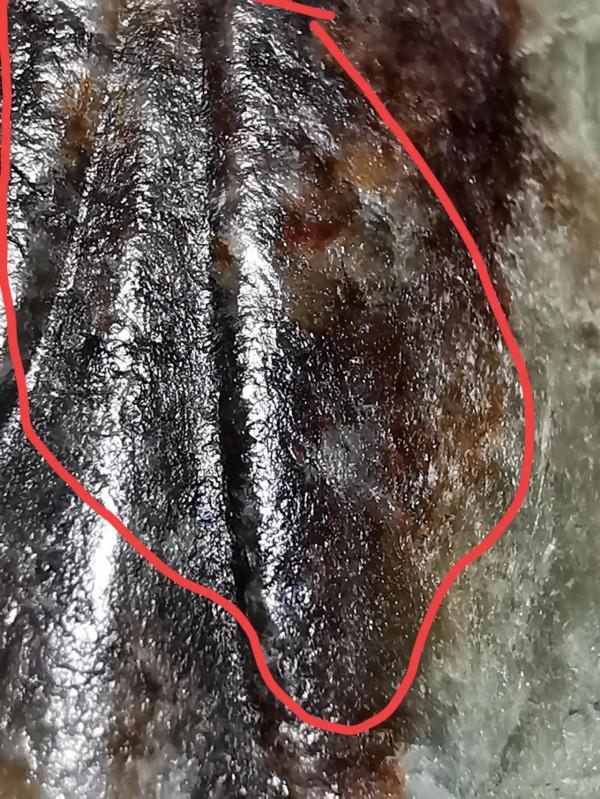 非常漂亮高古紅沁知了皮殼所表現的無法可仿本質特徵，跟仿品比較