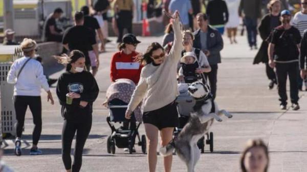 悉尼火車站陷入混亂，司機大罷工，多條華人區線路延遲、取消