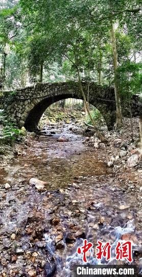 探訪中國傳統村落福建洋頭村：宛如一幅水墨山水畫