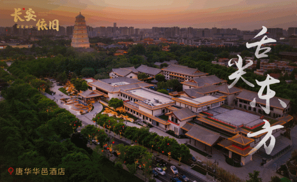 今日起，來大唐芙蓉園免費元宵趴