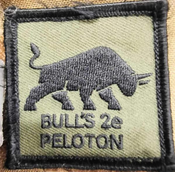 荷蘭皇家陸軍後備役軍團第20後備營