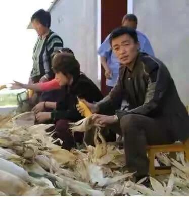 盤點娛樂圈明星迴農村幹農活誰最接地氣？