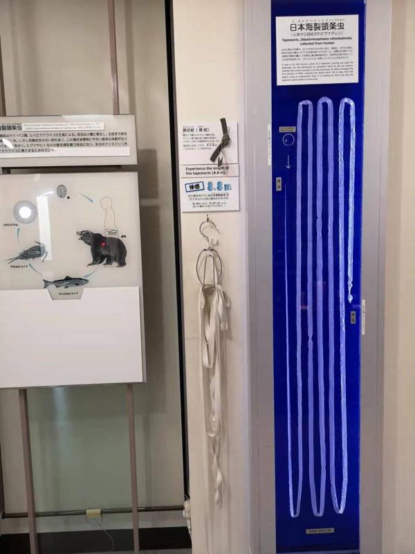 去過這些怪奇博物館,才知道人類的好奇有多值錢 去過這些怪奇博物館,才知道人類的好奇有多值錢