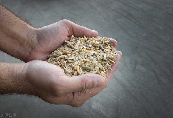 新希望劉永好：以高質量發展滿足新時代消費需求