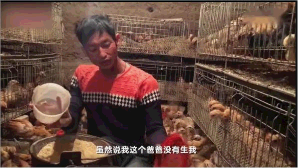 爬行娃：2歲時被父母狠心遺棄！一位善良的養父，一位感恩的兒子