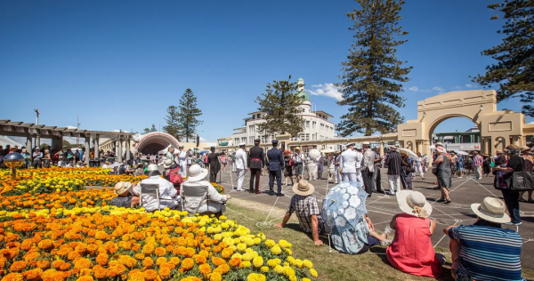 紐西蘭中小學留學:遠離大都市華人圈,感受純粹白人貴族中小學 紐西蘭中小學留學:遠離大都市華人圈,感受純粹白人貴族中小學