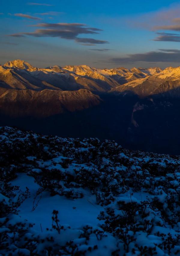 怒放的木裡，美到不真實