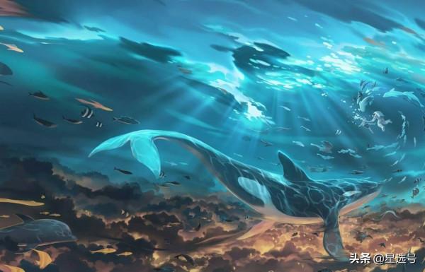 生態鏈最偉大的死亡，深海中最神奇的鯨落，感嘆生命的神奇