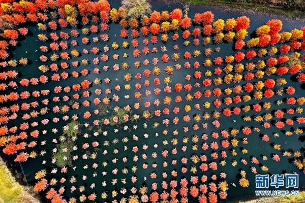 這也太太太美了吧！你覺得適合約誰去？