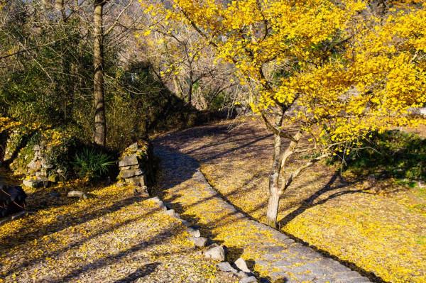 堵車、堵車、堵車，這個古村憑什麼讓遊客步行三公里入村？