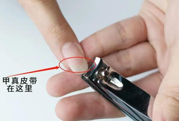 指甲上的月牙越大、越多，身體就越好？真相可能不是你想的那樣