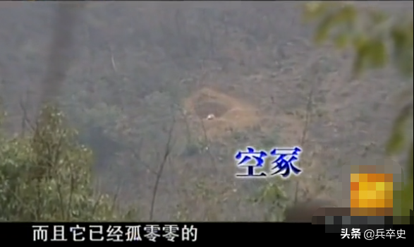 真實故事：湖南7歲男童意外掉進天坑，叢林生存8年成嗜血“野人”