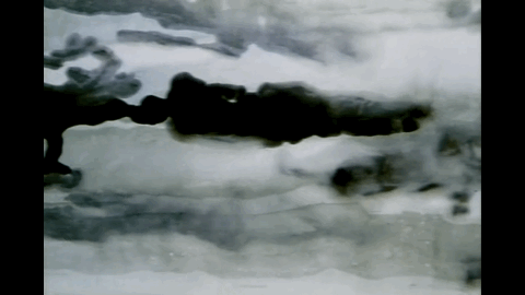 《道德經》故事：老子牙不好，關尹子請他吃石榴