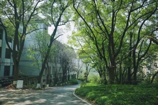 大一新生‘歷險’記 大一新生‘歷險’記