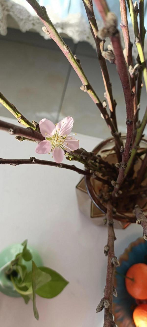 #你是怎麼迎接新年的?# #你是怎麼迎接新年的?#