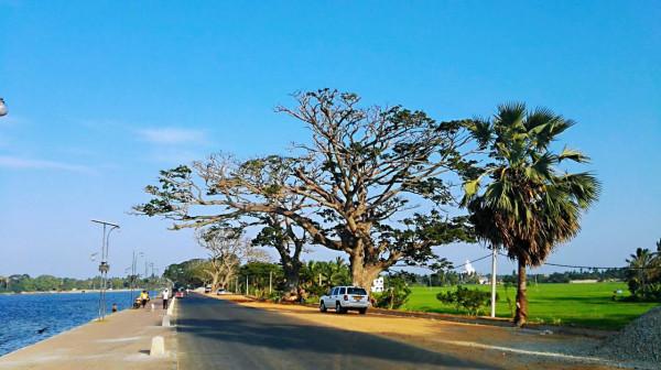 斯里蘭卡之旅(17)蒂瑟默哈拉默 斯里蘭卡之旅(17)蒂瑟默哈拉默