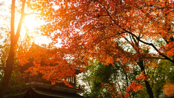 太美了!10個愈秋愈美的小眾旅行地,錯過只能再等一年 太美了!10個愈秋愈美的小眾旅行地,錯過只能再等一年