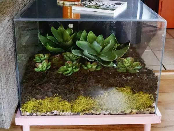 養花並不需要侷限於陽臺，這樣的創意養花，你能想到嗎？