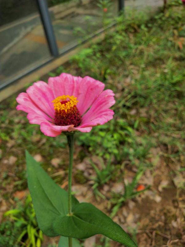 是不是自私的人都好命 是不是自私的人都好命