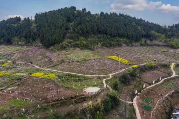 今年賞桃花，千萬別錯過大英&CenterDot;宋井桃源！