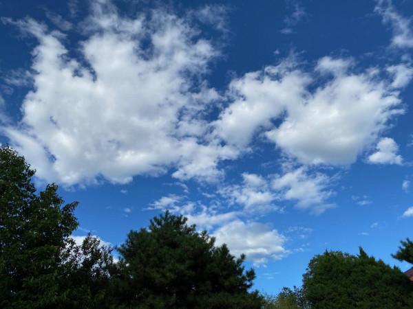 意不意外? 華為P50 Pro首測2: 網友要求再拍10組對比, 逼出它影像極限