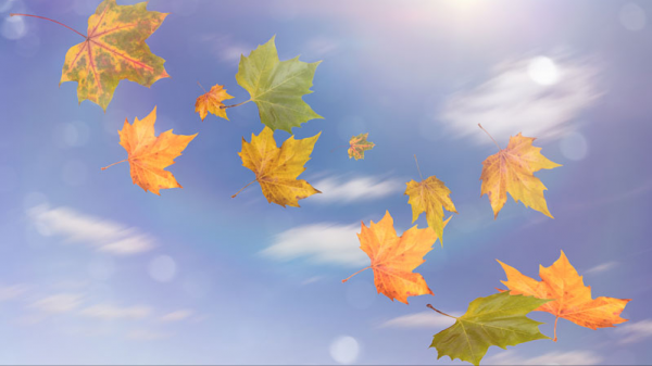 一生的好運氣，就藏在你的言行舉止中