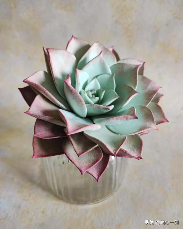 分享&mdash;&mdash;多肉，肉出花朵