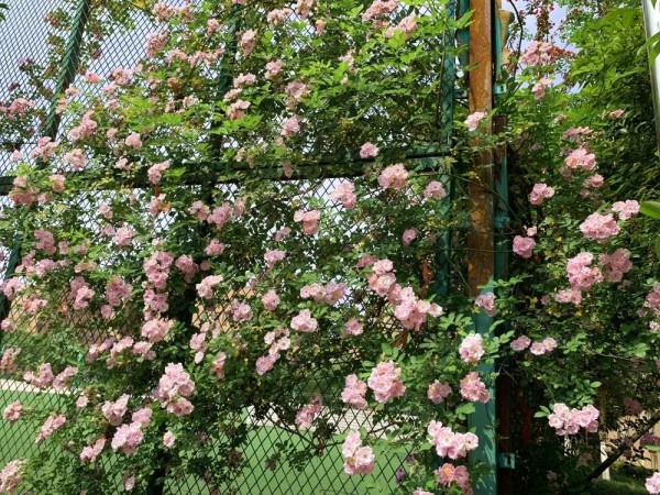 一年四季，這些“絕美”的瞬間你見到了嗎？