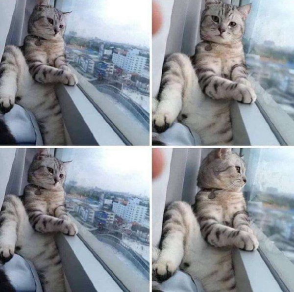 你見過最感人的瞬間是什麼？