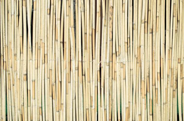 一首江城子·密州出獵,笑破天下人的肚皮,然而這樣才能讀懂 一首江城子·密州出獵,笑破天下人的肚皮,然而這樣才能讀懂