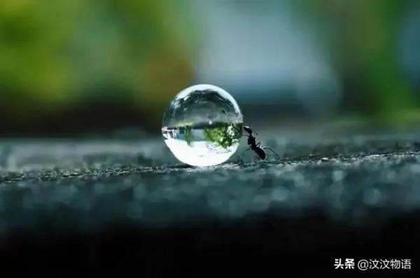 神奇的大自然,神奇的生物 神奇的大自然,神奇的生物