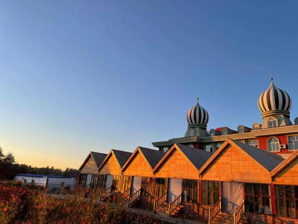 西藏和新疆的區別？