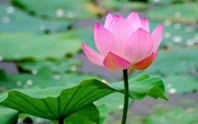 體相的秘密，雙腳代表的6大含義你都知道嗎？