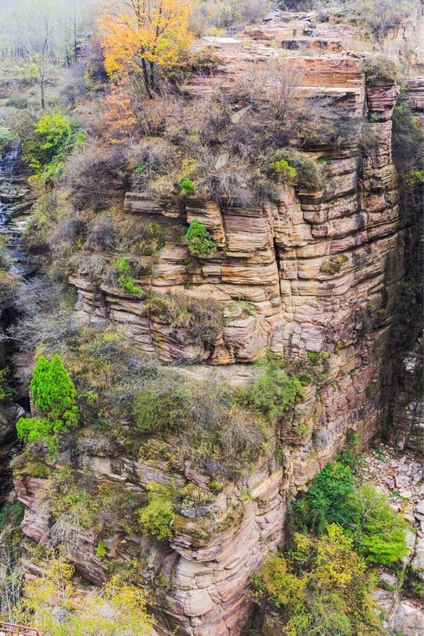 一省一秋!各省秋色“當紅”代言人,你的家鄉上榜了嗎? 一省一秋!各省秋色“當紅”代言人,你的家鄉上榜了嗎?