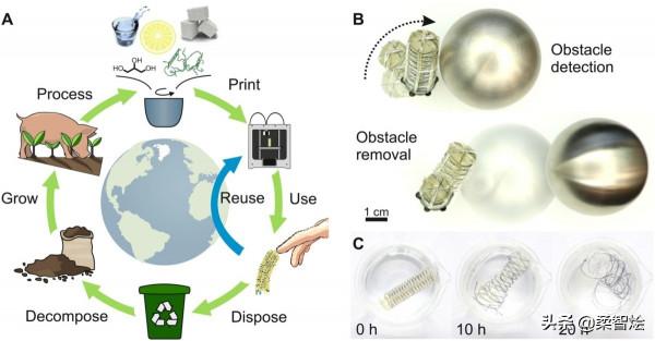 使用明膠和糖作為墨水列印 3D 軟機器人