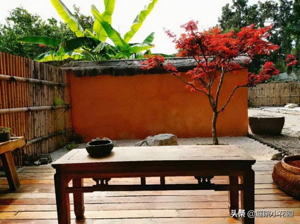 70後文藝大叔，用6年建400㎡院子，每天喝茶做飯，瀟灑生活