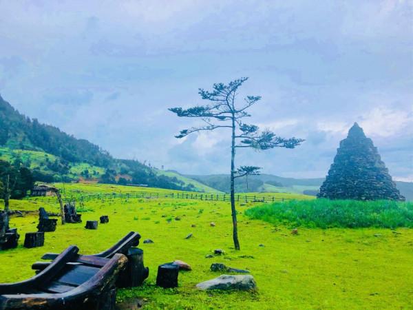 麗江小眾秘境指南｜林那谷：徒步、觀星、賞花新地標