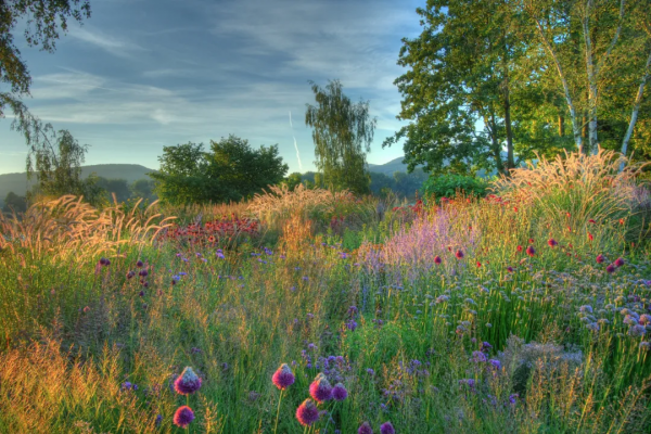 又野又美的“荒野風”花藝,太上頭了 又野又美的“荒野風”花藝,太上頭了