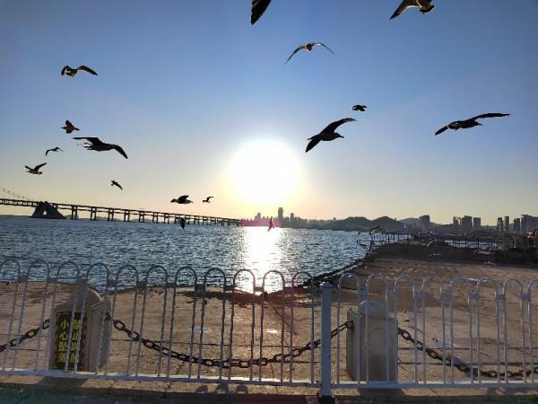 星海灣的三股“勢力”