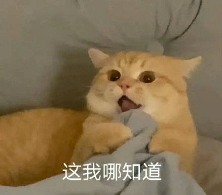 李亞鵬戴婚戒疑和女友婚訊將近!曾追周迅王菲,終於不做軟飯男? 李亞鵬戴婚戒疑和女友婚訊將近!曾追周迅王菲,終於不做軟飯男?