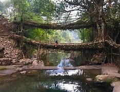 世界風光欣賞&mdash;&mdash;印度，梅加拉亞邦的 Ritymmen 活樹根橋