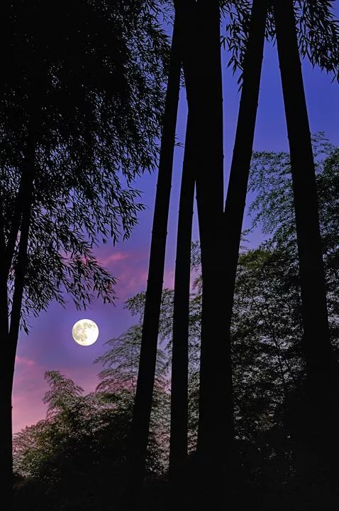 中秋情思《秋夜思》