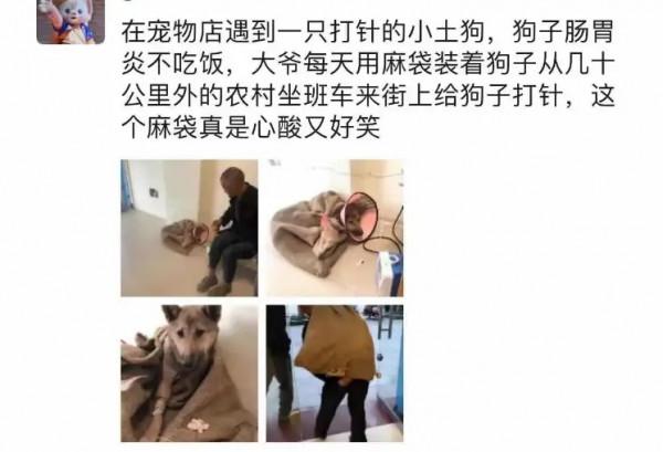 老大爺帶愛犬看病,每天揹著尼龍口袋去城裡:小土狗一樣值得被愛 老大爺帶愛犬看病,每天揹著尼龍口袋去城裡:小土狗一樣值得被愛