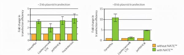 核酸轉染增強劑&mdash;&mdash;NATE&trade;
