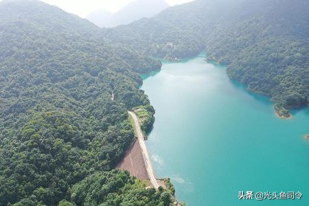 收費水庫青魚、草魚都能釣，為何不能釣鰱鱅？難道是老闆玩不起？