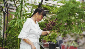 55歲依然要穿Lolita逛街買菜，是勇敢追求美，還是“么蛾子”？