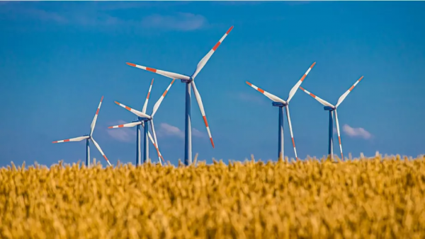 原料漲價！限電停產！農資市場現狀：有貨才是王道