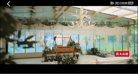 歐陽娜娜連辦3場葬禮哭上熱搜!網友破防了:這樣的告別我沒想過 歐陽娜娜連辦3場葬禮哭上熱搜!網友破防了:這樣的告別我沒想過