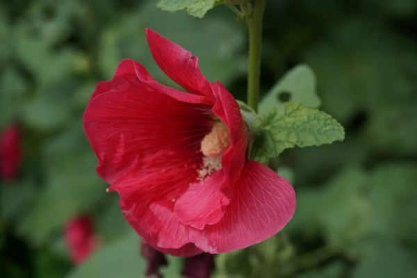 京城這個爆火的4A級景區，你打卡了嗎？快收下這份經典路線攻略，跟著走就行！